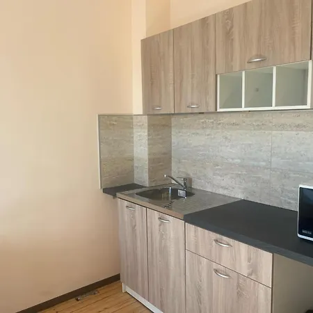 招待所 савана, пловдив,plovdiv, летище пловдив, Plovdiv Airport,ягодово *