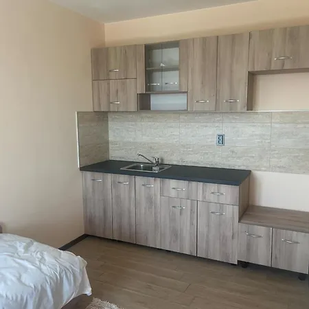 招待所 савана, пловдив,plovdiv, летище пловдив, Plovdiv Airport,ягодово *