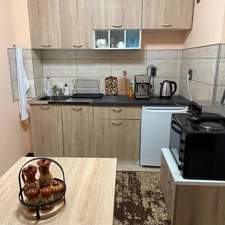 савана, пловдив,plovdiv, летище пловдив, Plovdiv Airport,ягодово