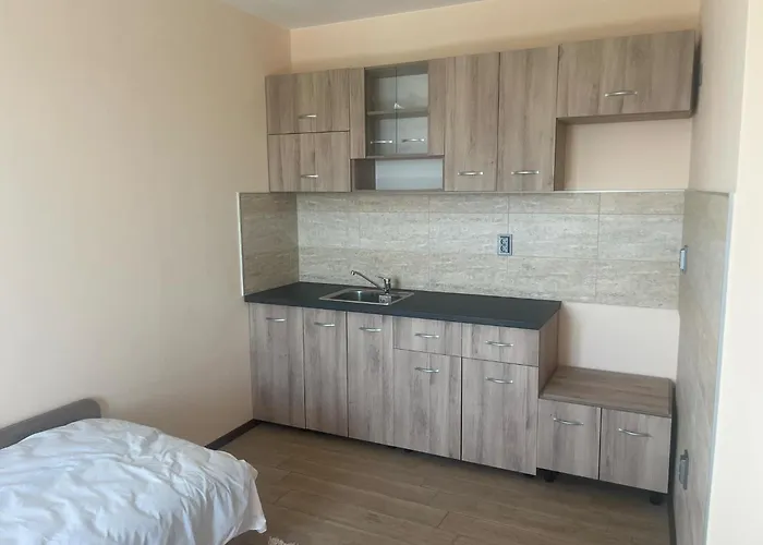 Gasthuis савана, пловдив,plovdiv, летище пловдив, Plovdiv Airport,ягодово *